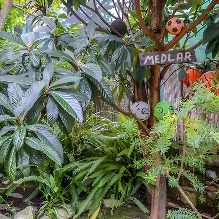 Апартаменты 2