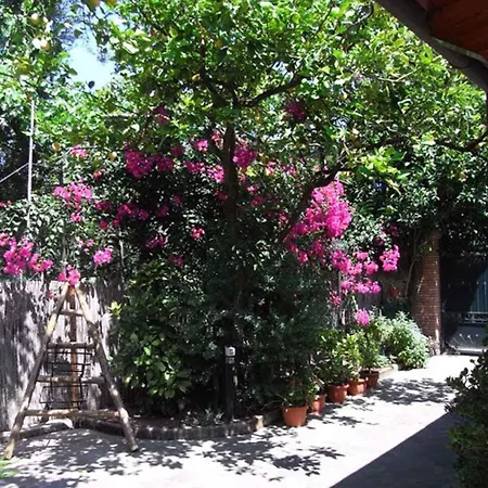 2 Апартаменти